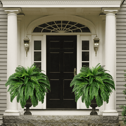 Last Day 75% OFF🔥 Artificial Boston Fern 🌳 UV Resistant, Lifelike Greenery 🌴