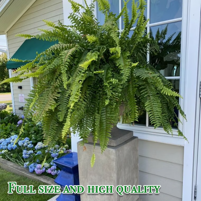 Last Day 75% OFF🔥 Artificial Boston Fern 🌳 UV Resistant, Lifelike Greenery 🌴