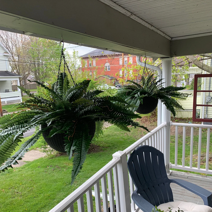 Last Day 75% OFF🔥 Artificial Boston Fern 🌳 UV Resistant, Lifelike Greenery 🌴