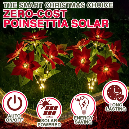 🌺Artificial Christmas Poinsettia Flower Solar Light🎄🎅(Waterproof, Garden, Xmas Party Decoration)