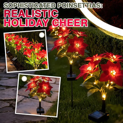 🌺Artificial Christmas Poinsettia Flower Solar Light🎄🎅(Waterproof, Garden, Xmas Party Decoration)