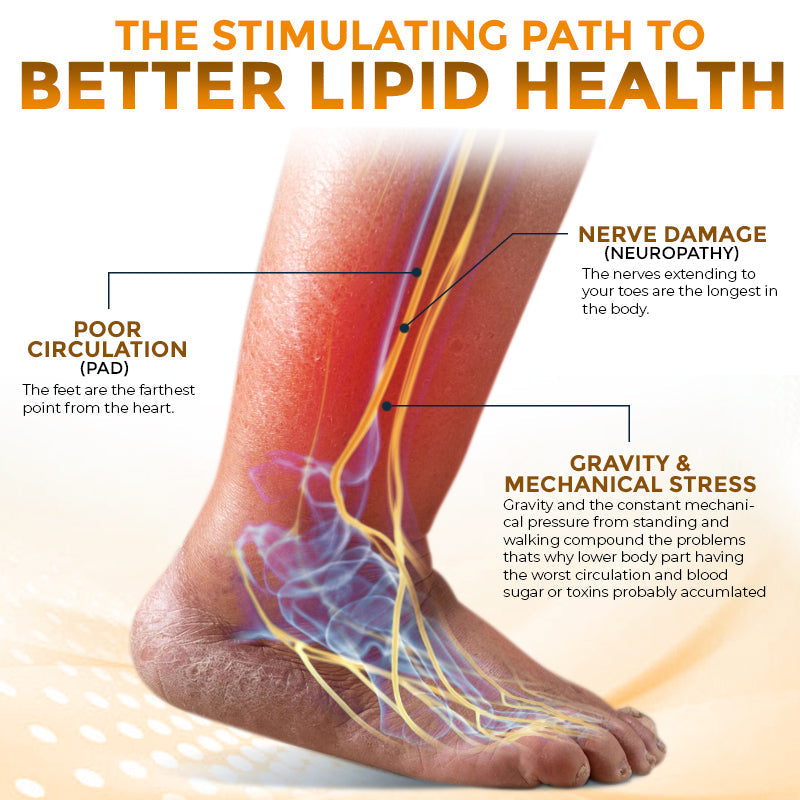🐝 flysmus® Bee Venom Nodular Acupoint Stimulating Patch 🧑‍⚕️ Treats Diabesity, Obesity, High Blood Sugar Level