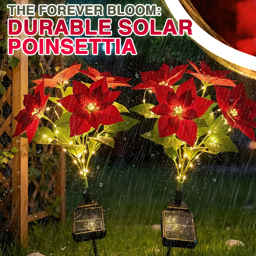 🌺Artificial Christmas Poinsettia Flower Solar Light🎄🎅(Waterproof, Garden, Xmas Party Decoration)